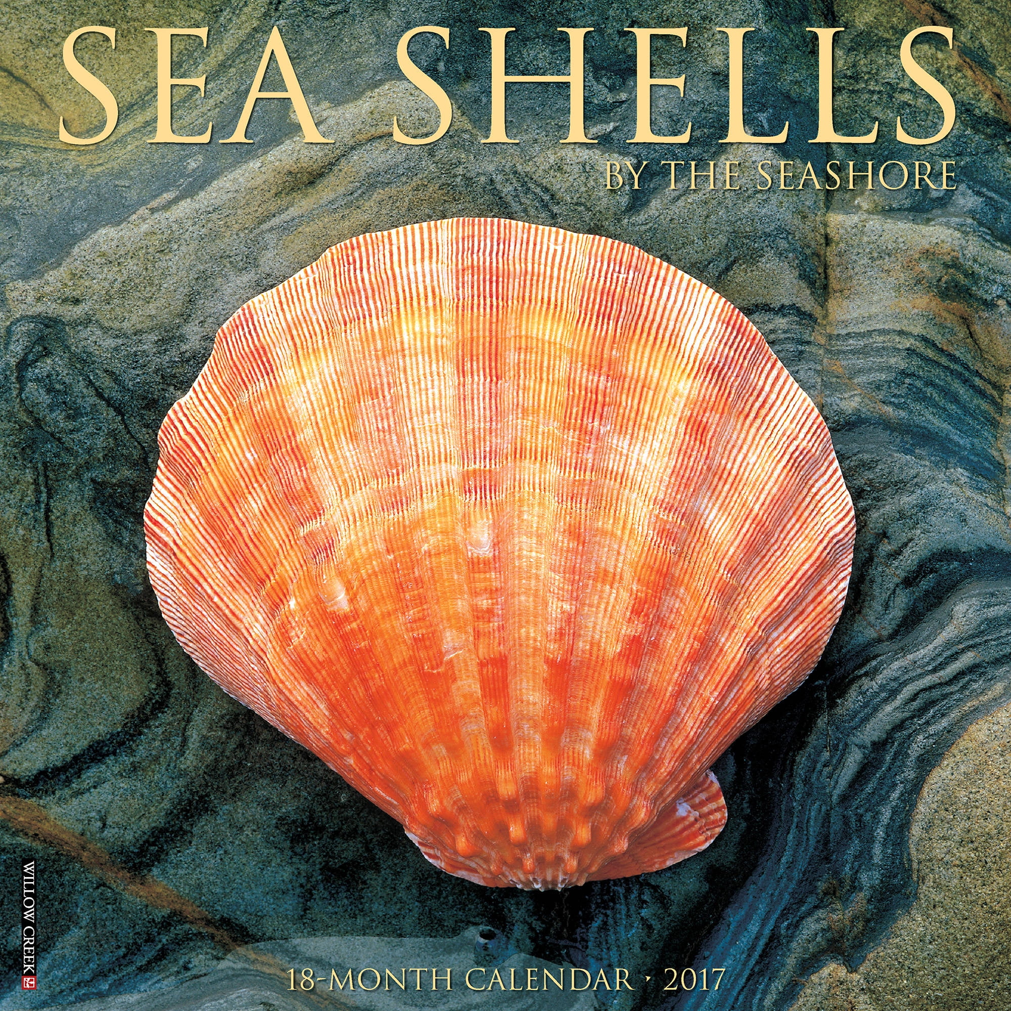 Sea Shells 2017 Wall Calendar